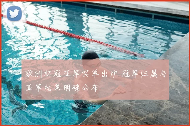 欧洲杯冠亚军实单出炉 冠军归属与亚军结果明确公布