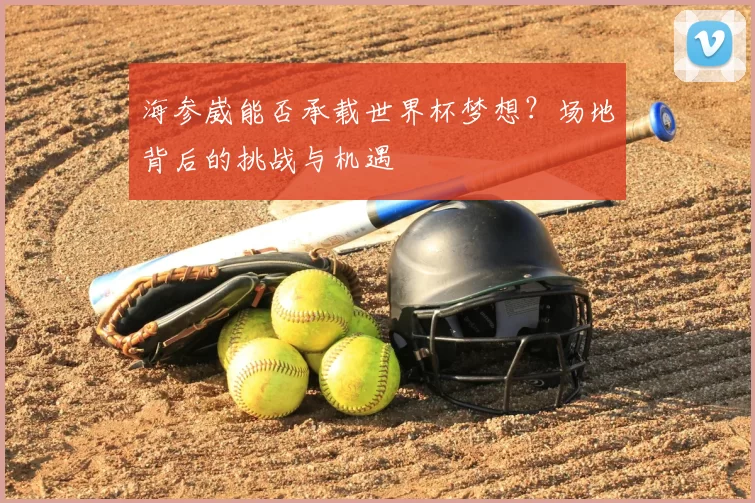 海参崴能否承载世界杯梦想？场地背后的挑战与机遇