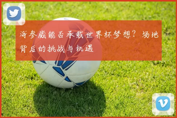 海参崴能否承载世界杯梦想？场地背后的挑战与机遇