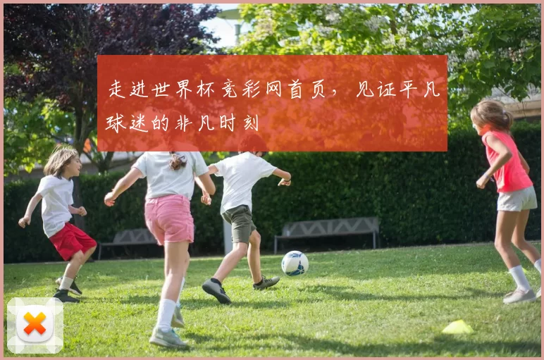 走进世界杯竞彩网首页,见证平凡球迷的非凡时刻