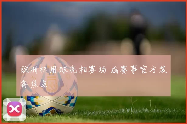 欧洲杯用球亮相赛场 成赛事官方装备焦点