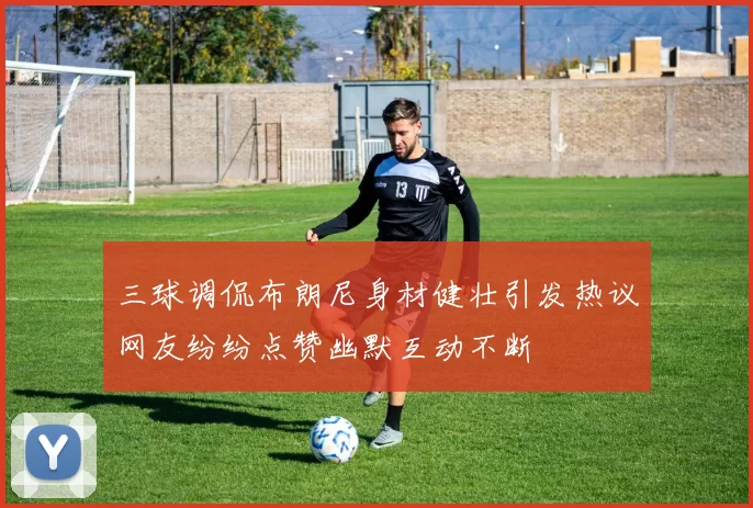 三球调侃布朗尼身材健壮引发热议网友纷纷点赞幽默互动不断