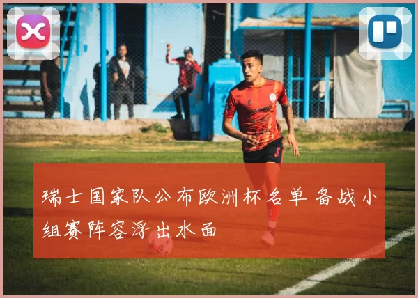 瑞士国家队公布欧洲杯名单 备战小组赛阵容浮出水面