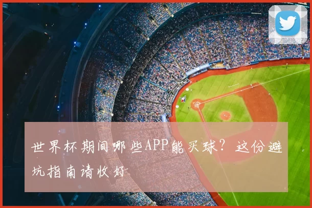 世界杯期间哪些APP能买球？这份避坑指南请收好
