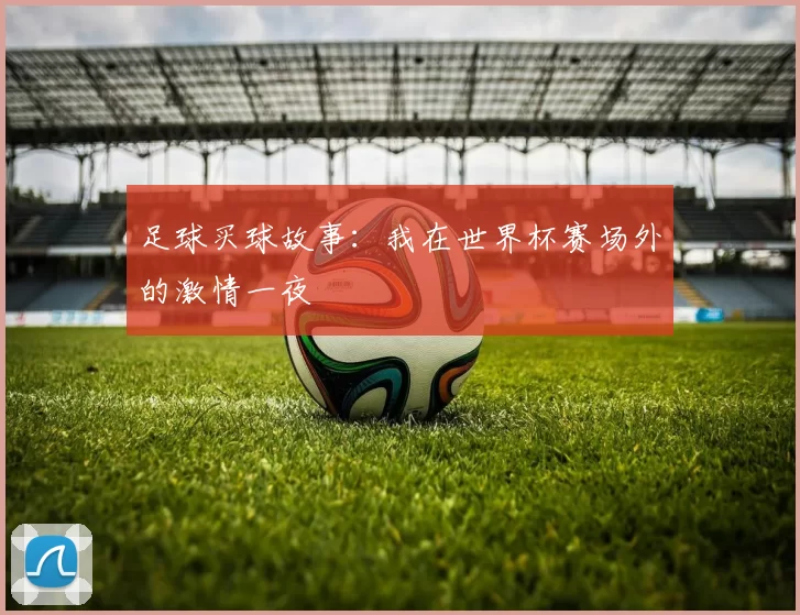 足球买球故事：我在世界杯赛场外的激情一夜