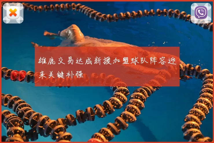 雄鹿交易达成新援加盟球队阵容迎来关键补强