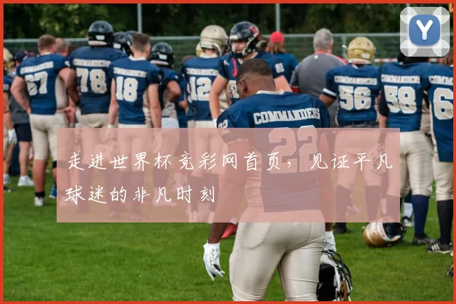 走进世界杯竞彩网首页，见证平凡球迷的非凡时刻